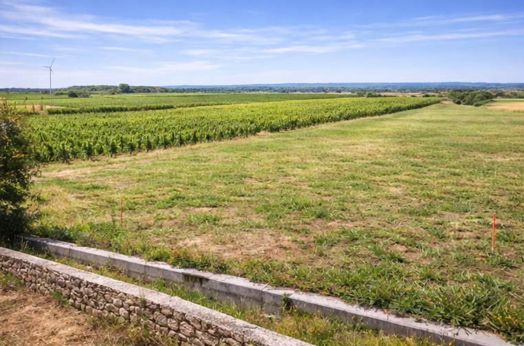 Terrain à bâtir de 900 m² à Saint-André-de-Lidon pour 31 500 €