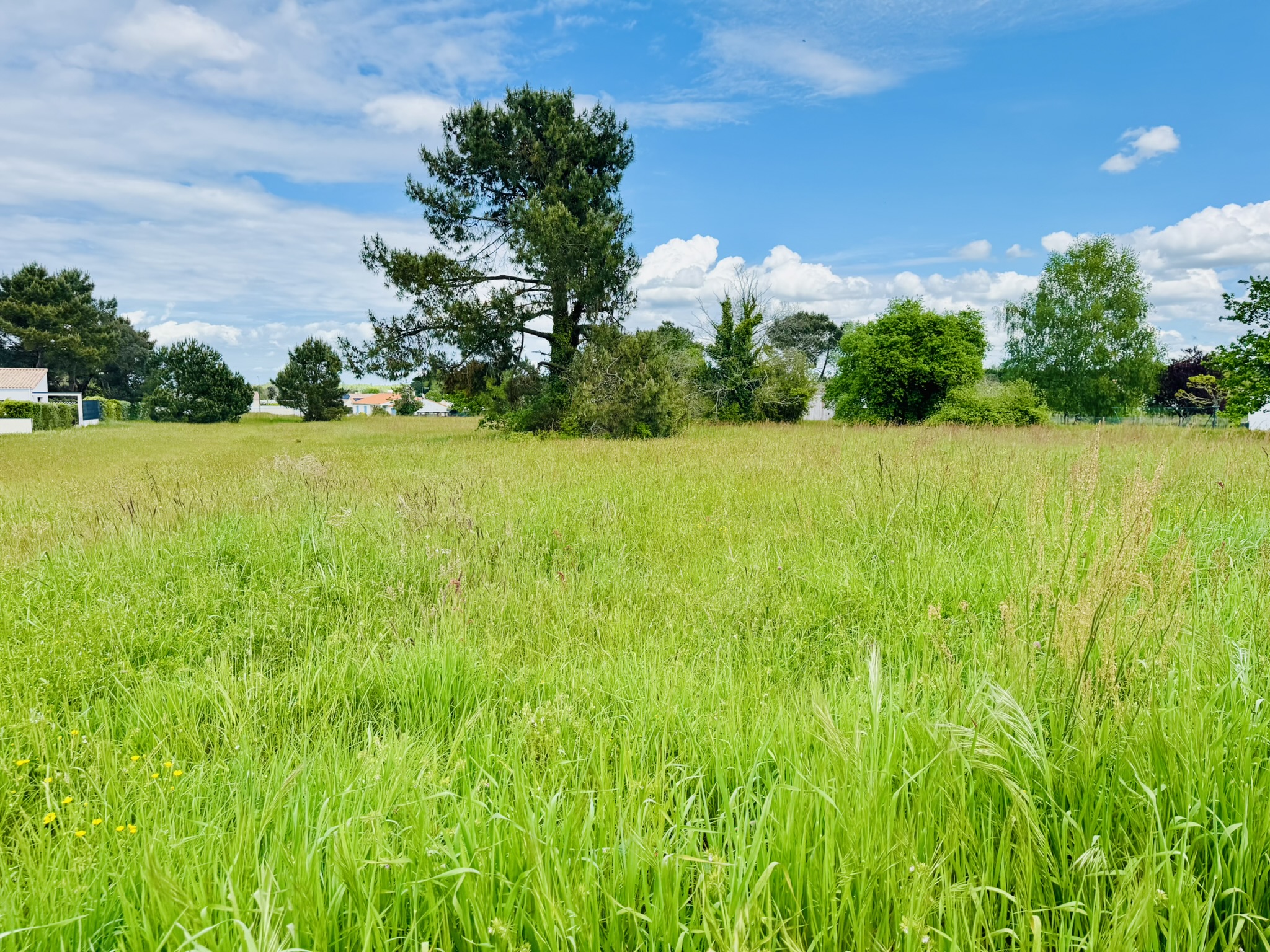 "Terrain à Nancras (17600) - 500 m² à 48 500 € pour votre projet de maison"